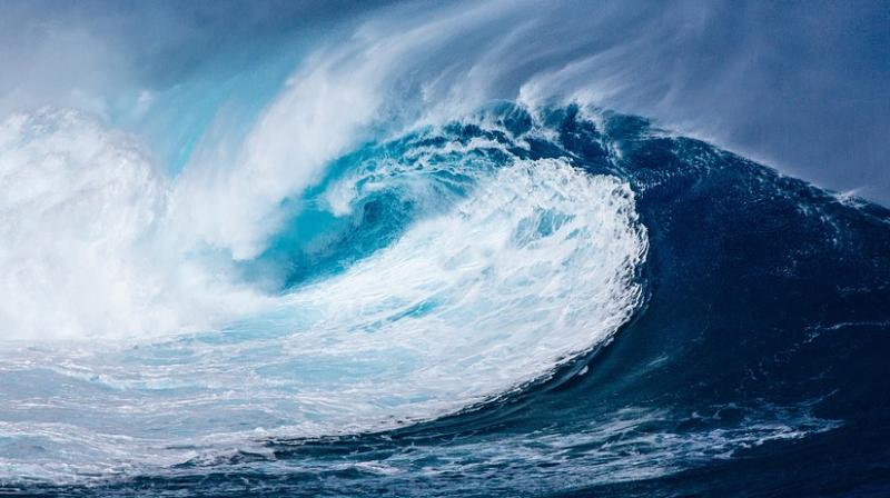 Rogue Wave – The Deadly Sea Monster