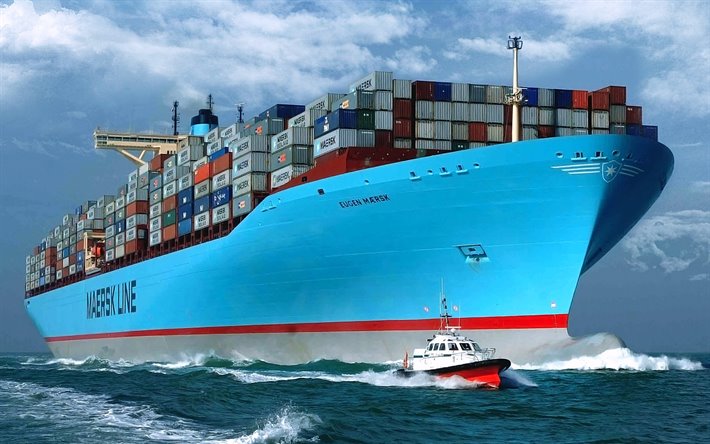 What is a Container Ship and its Uses?