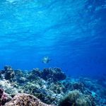 Classification of the Marine Environment