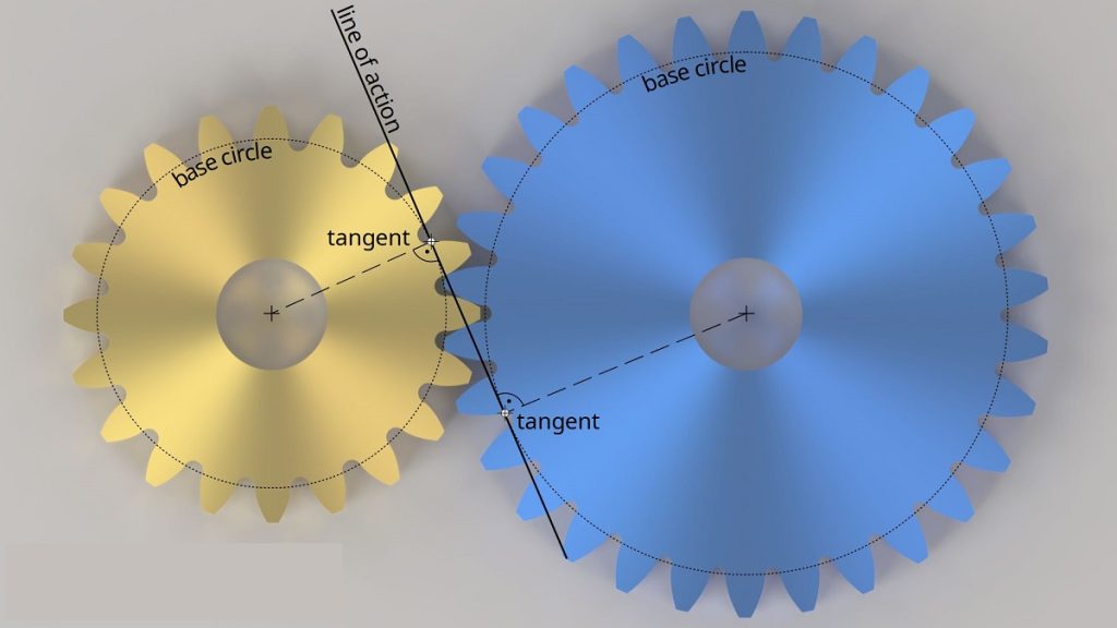 Involute Curve