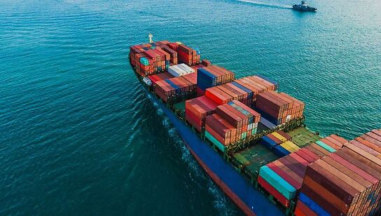 Cargo Surveys