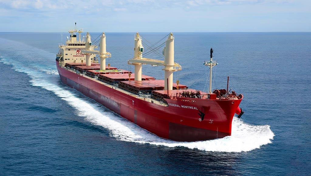 What Are Bulker Ships?