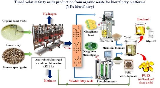 Volatile Fatty Acids