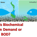 Biological Oxygen Demand (BOD) and Water