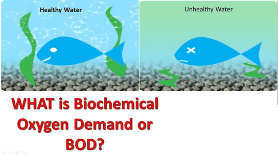 Biological Oxygen Demand (BOD) and Water