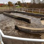 Phosphates in water treatment plants