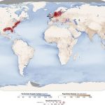 Review of Mercury Circulation Changes in the Coastal Zone of Southern Baltic Sea