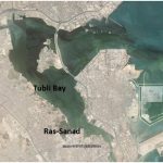Management of Marine Protected Zones – Case Study of Bahrain, Arabian Gulf