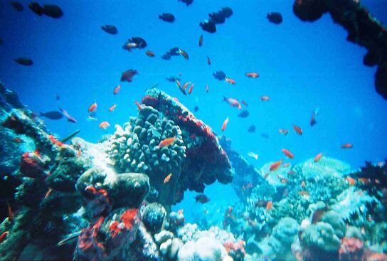 Coastal and Marine Environment Concepts and Significances